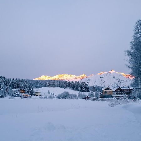 Haus Bergkristall - Apartment Schneider Seefeld in Tirol Exteriér fotografie